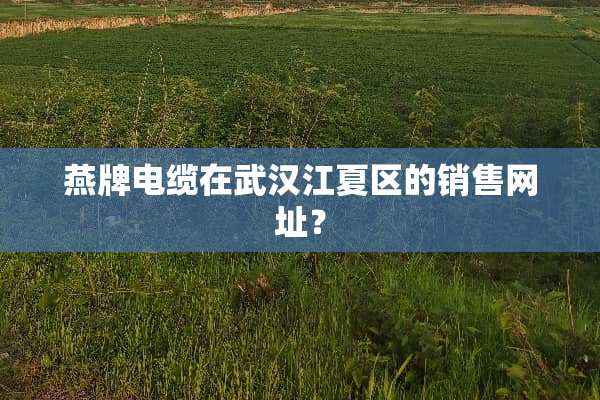 燕牌电缆在武汉江夏区的销售网址？