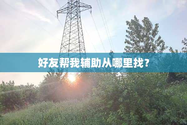 好友帮我辅助从***？