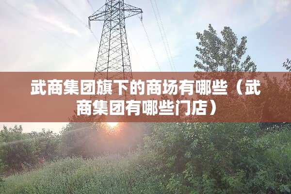 武商集团旗下的商场有哪些（武商集团有哪些门店）