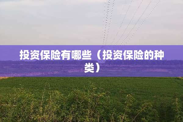 投资保险有哪些（投资保险的种类）