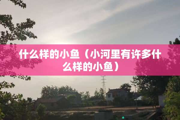 什么样的小鱼（小河里有许多什么样的小鱼）