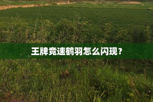 王牌竞速鹤羽怎么闪现？