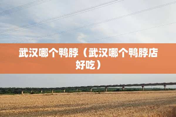 武汉哪个鸭脖（武汉哪个鸭脖店好吃）