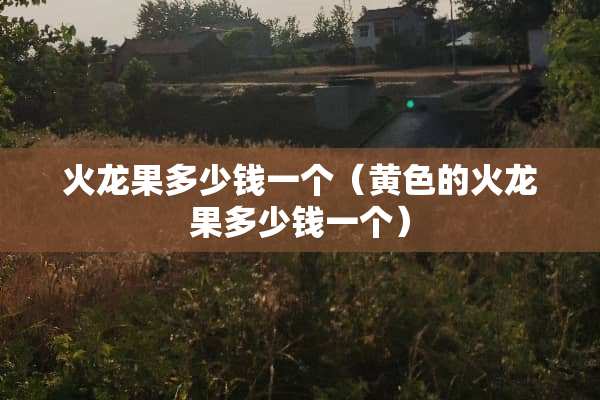 火龙果多少钱一个（**的火龙果多少钱一个）