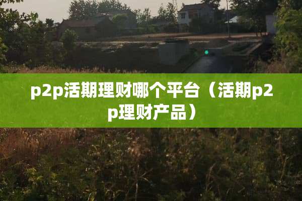 p2p活期理财哪个平台（活期p2p理财产品）