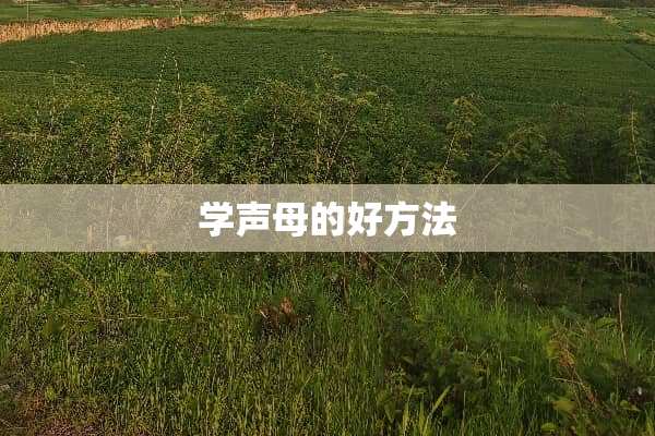 学声母的好方法