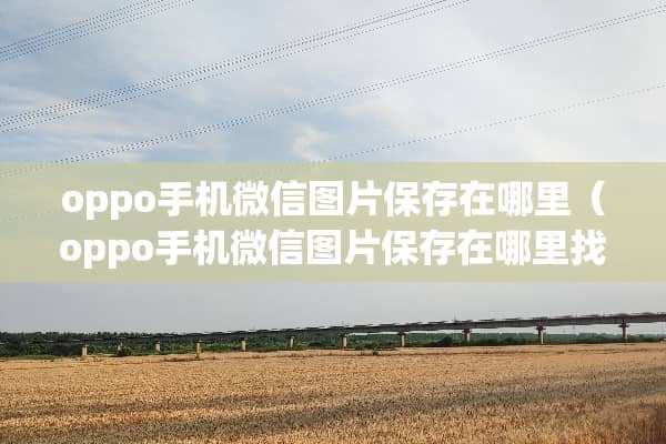 oppo手机微信图片保存在哪里（oppo手机微信图片保存在***）
