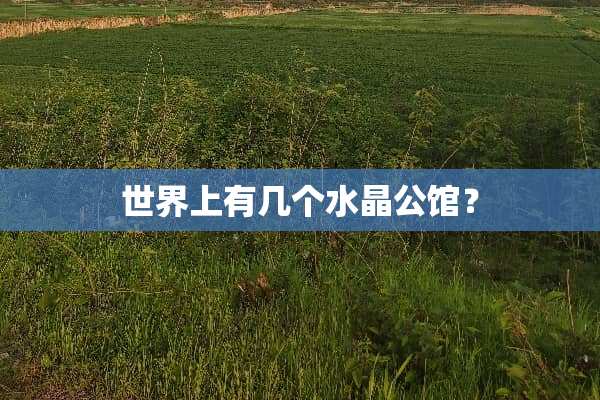 世界上有几个水晶公馆？