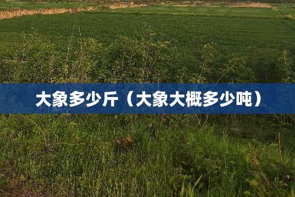 大象多少斤（大象大概多少吨）
