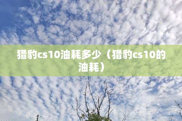 **cs10油耗多少（**cs10的油耗）
