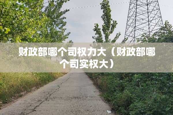 财政部哪个司权力大（财政部哪个司实权大）