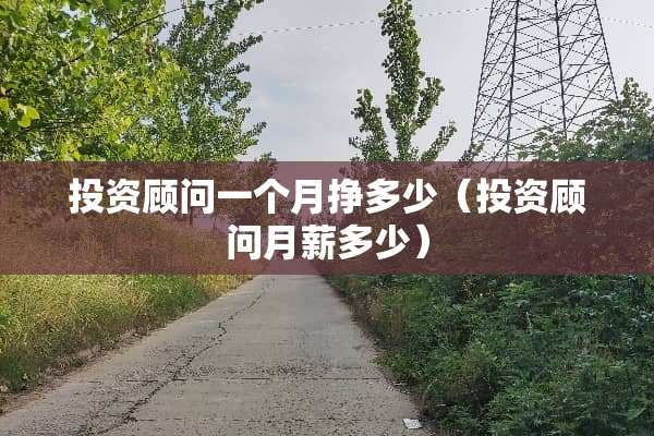 投资顾问一个月挣多少（投资顾问月薪多少）