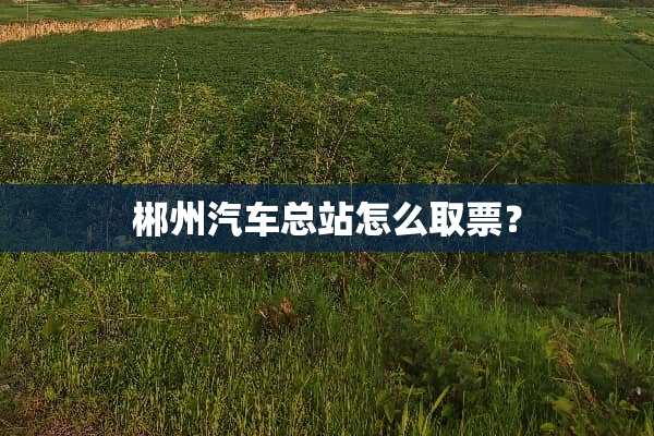 郴州汽车总站怎么取票？