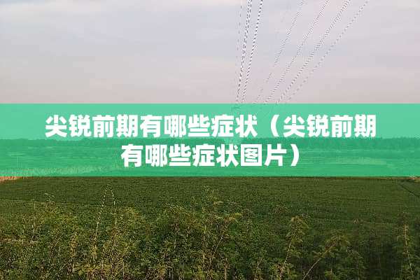 尖锐前期有哪些症状（尖锐前期有哪些症状图片）