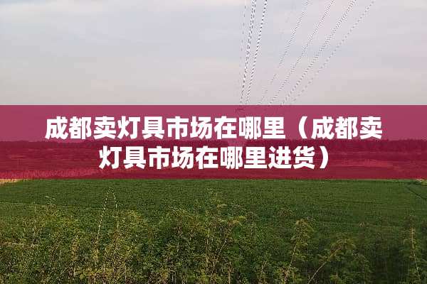 成都卖灯具市场在哪里（成都卖灯具市场在哪里进货）