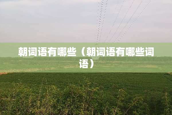 朝词语有哪些（朝词语有哪些词语）