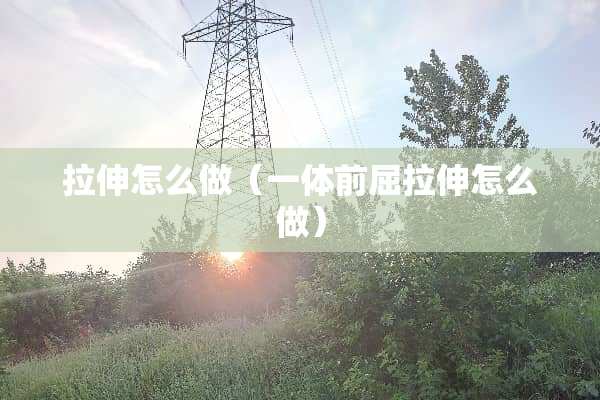 拉伸怎么做（一体前屈拉伸怎么做）