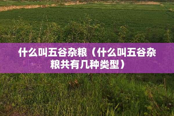 什么叫五谷杂粮（什么叫五谷杂粮共有几种类型）