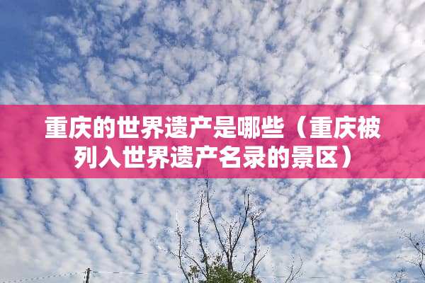 重庆的世界遗产是哪些（重庆被列入世界遗产名录的景区）