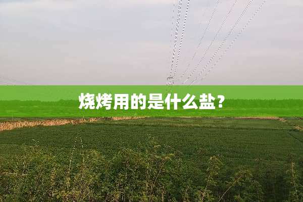 烧烤用的是什么盐？