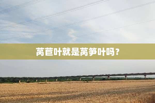 莴苣叶就是莴笋叶吗？