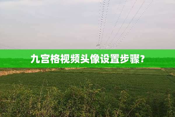 九宫格视频头像设置步骤？
