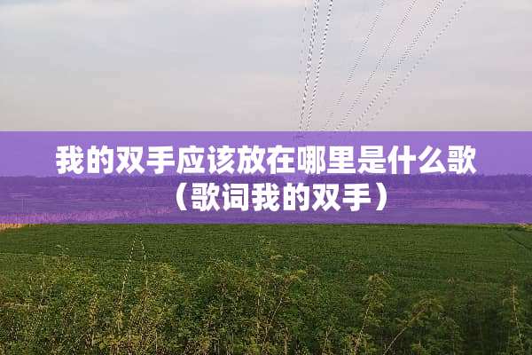 我的双手应该放在哪里是什么歌（歌词我的双手）
