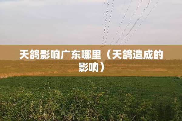 天鸽影响广东哪里（天鸽造成的影响）