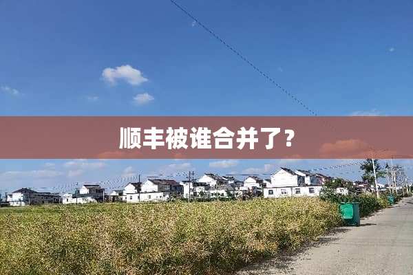 顺丰被谁合并了？
