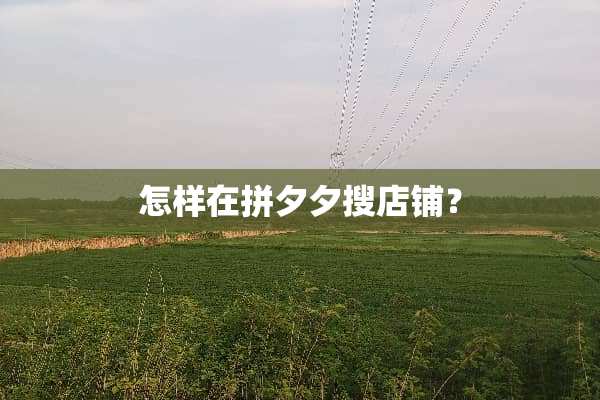 怎样在拼夕夕搜店铺？