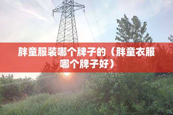 胖童服装哪个牌子的（胖童衣服哪个牌子好）