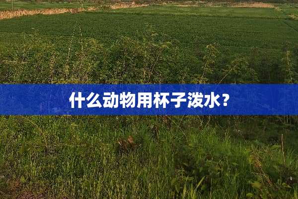 什么动物用杯子泼水？