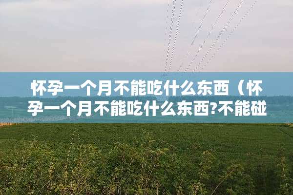 怀孕一个月不能吃什么东西（怀孕一个月不能吃什么东西?不能碰什么东西）