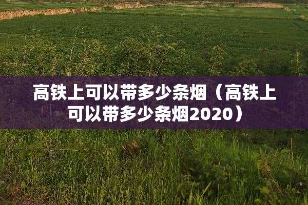 高铁上可以带多少条烟（高铁上可以带多少条烟2020）