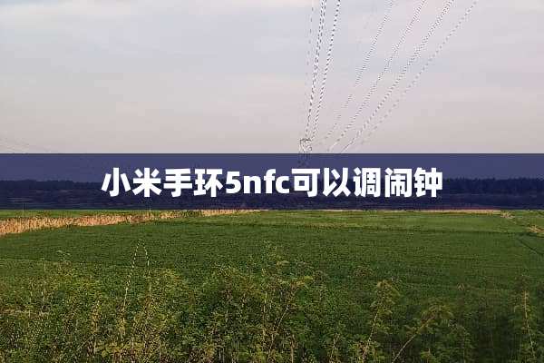 小米手环5nfc可以调闹钟