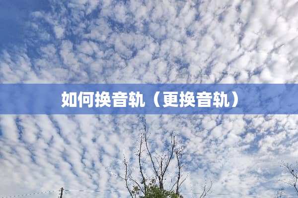 如何换音轨（更换音轨）