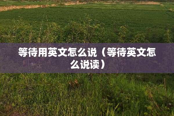 等待用英文怎么说（等待英文怎么说读）