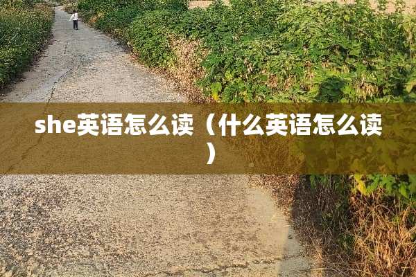 she英语怎么读（什么英语怎么读）
