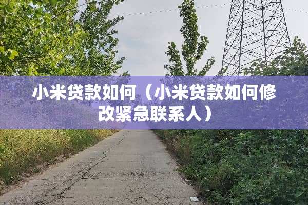 小米贷款如何（小米贷款如何修改紧急联系人）