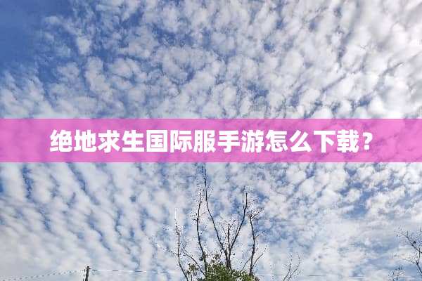 绝地求生国际服手游怎么下载？