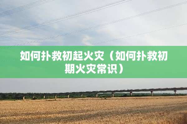 如何扑救初起火灾（如何扑救初期火灾常识）