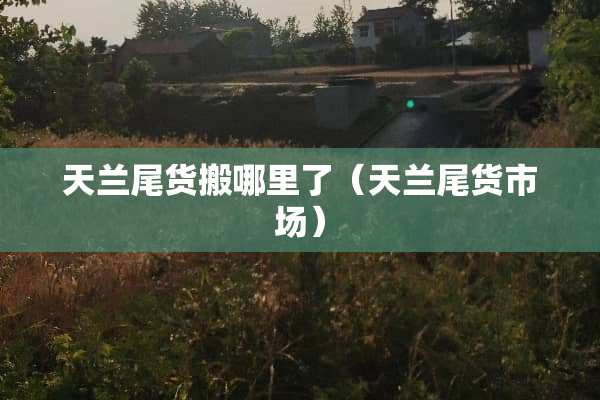 天兰尾货搬哪里了（天兰尾货市场）