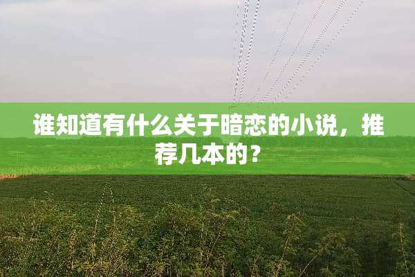 谁知道有什么关于暗恋的小说，推荐几本的？