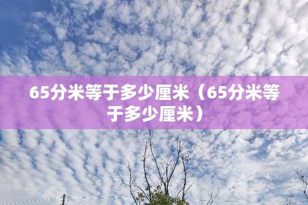 65分米等于多少厘米（65分米等于多少厘米）