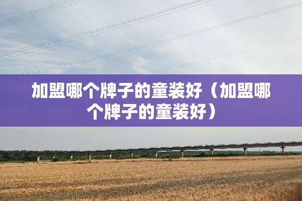 加盟哪个牌子的童装好（加盟哪个牌子的童装好）