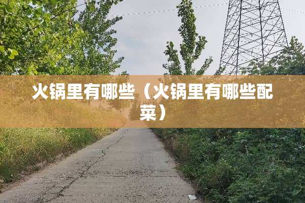 火锅里有哪些（火锅里有哪些配菜）