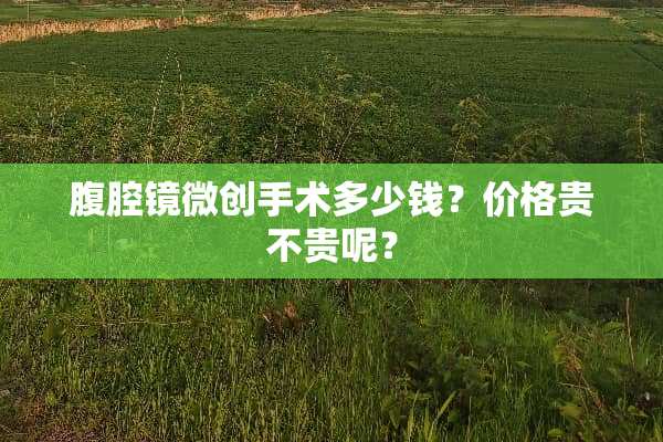 腹腔镜微创手术多少钱？价格贵不贵呢？