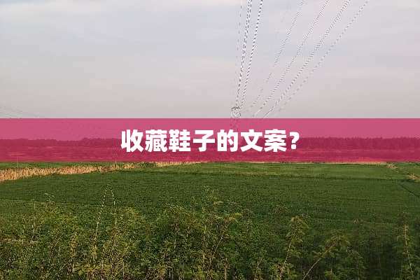 收藏鞋子的文案？