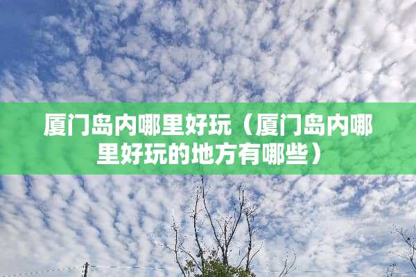 厦门岛内哪里好玩（厦门岛内哪里好玩的地方有哪些）