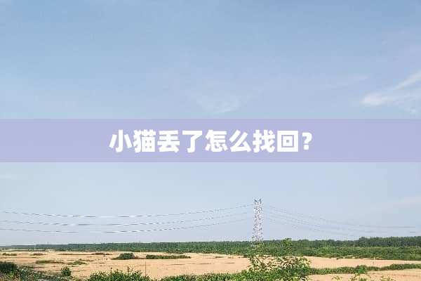 小猫丢了怎么找回？